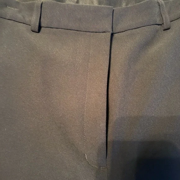 Express Editor Ankle Pants - Picture 5 of 12